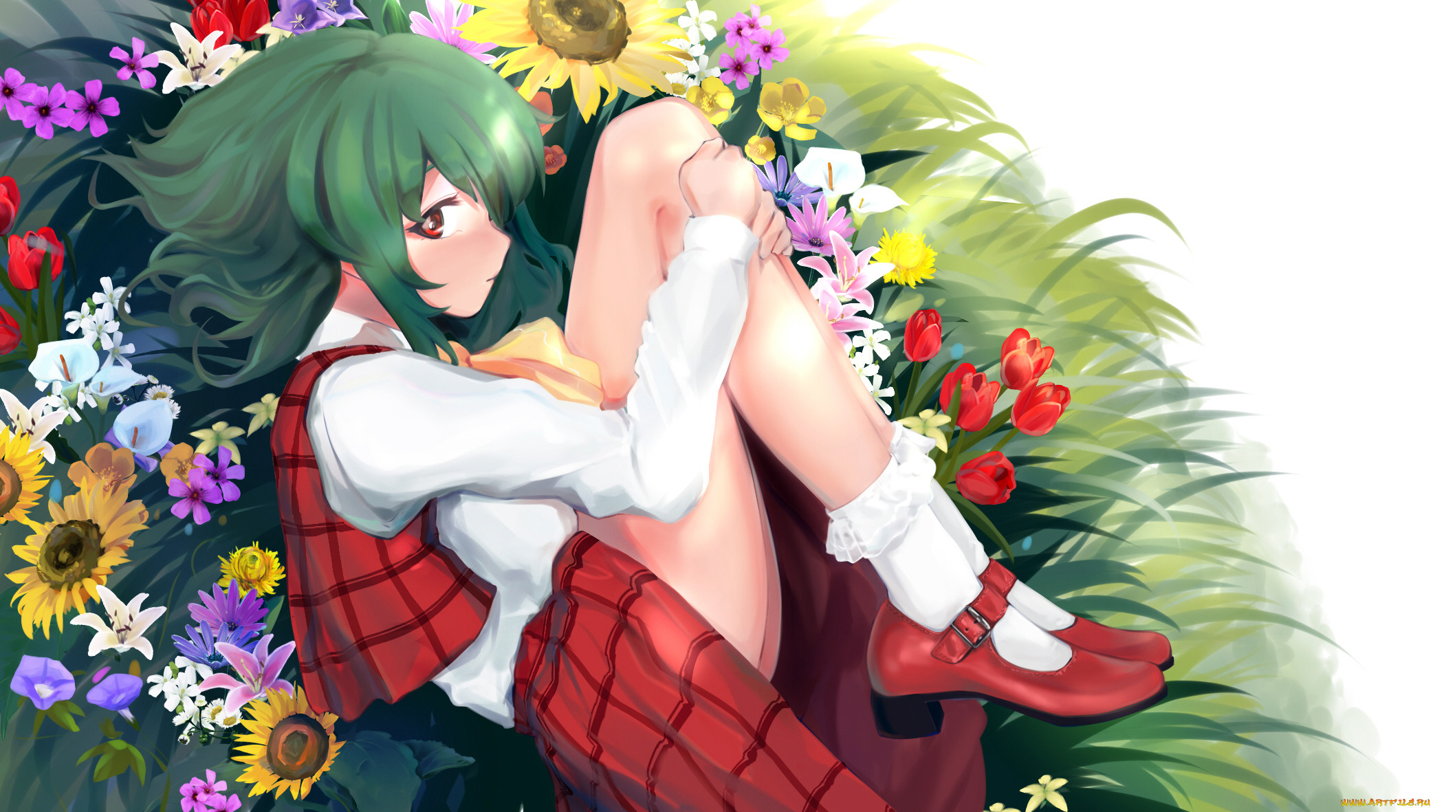 , touhou, , , kazami, yuuka, 